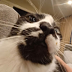 Meet your Posher, Henry